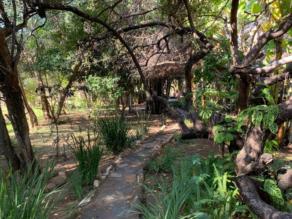Hippomoon Lodge Game Reserve Hoedspruit Exteriér fotografie
