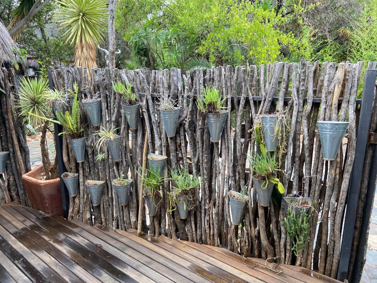 Hippomoon Lodge Game Reserve Hoedspruit Exteriér fotografie