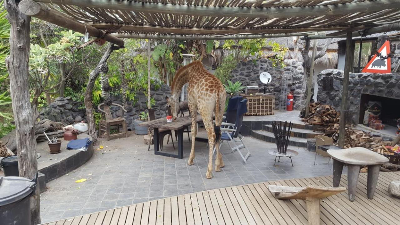Hippomoon Lodge Game Reserve Hoedspruit Exteriér fotografie