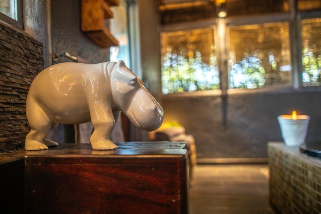 Hippomoon Lodge Game Reserve Hoedspruit Exteriér fotografie